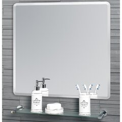 Wayfair bathroom store mirrors with lights